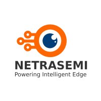 Netrasemi Logo